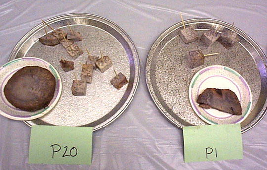 Palauan Varieties: P1 and P20